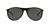 Saint Laurent SL 667 002 56-16 Tortoise