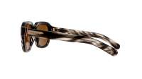 Gucci GG1508S 003 55-19 Školjka