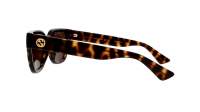 Gucci Gg logo GG1578S 002 54-20 Tartaruga