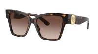 Dolce & Gabbana DG4470 50213 54-17 Havana