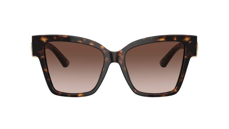 Sunglasses Dolce & Gabbana DG4470 50213 54-17 Havana in stock