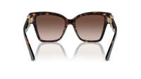 Dolce & Gabbana DG4470 50213 54-17 Havana