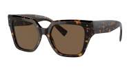 Dolce & Gabbana DG4471 502/73 52-18 Havana