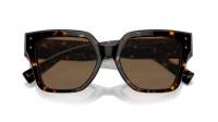 Dolce & Gabbana DG4471 502/73 52-18 Havana