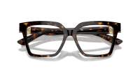 Dolce & Gabbana DG3395 502 53-16 Havana