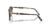 Persol PO3092SM 9005/51 52-19 Tabacco virginia