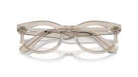 Ray-Ban Wayfarer oval Change collection RX2242V 8291 50-22 Photo waves grey