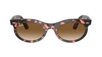 Ray-Ban Wayfarer oval RB2242 1334/51 50-22 Pink Havana