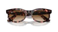 Ray-Ban Wayfarer oval RB2242 1334/51 50-22 Pink Havana