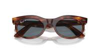 Ray-Ban Wayfarer oval RB2242 954/3R 50-22 Striped Havana