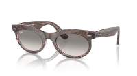 Ray-Ban Wayfarer oval Change Collection RB2242 1384/32 53-22