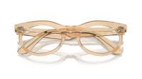 Ray-Ban Wayfarer oval Change collection RX2242V 8294 50-22 Photo waves brown