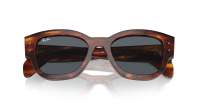 Ray-Ban Jorge RB7681S 954/R5 52-20 Striped Havana