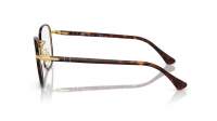 Persol PO1014VJ 1126 50-20 Gold and Havana