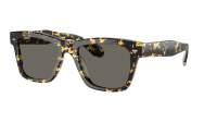 Oliver peoples N°4 sun OV5552SU 1778/R5 53-19 Écaille