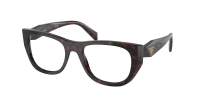 Prada PR A18V 17N-1O1 52-19 Root tortoise