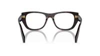 Prada PR A18V 17N-1O1 52-19 Root tortoise