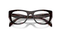 Prada PR A18V 17N-1O1 52-19 Root tortoise