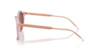 Giorgio Armani AR8211 6073C5 52-20 Transparent Pink