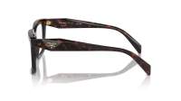 Prada PR A19V 17N-1O1 54-18 Root tortoise