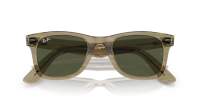 Ray-Ban Original wayfarer Change Collection RB2140 1387/31 50-22 Photo striped grey