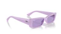 Ray-Ban Teru RB4425 6758/1A 54-17 Lilac