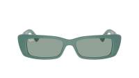 Ray-Ban Teru RB4425 6762/82 54-17 Algae green