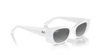 Ray-Ban Kat Bio-Based RB4427 6759/11 49-20 Blanco