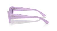 Ray-Ban Zena RB4430 6758/1A 49-22 Lilac