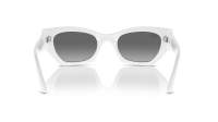 Ray-Ban Zena RB4430 6759/11 49-22 White snow