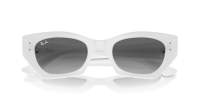 Ray-Ban Zena RB4430 6759/11 49-22 White snow