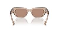 Dolce & Gabbana DG4462 3432/5A 52-18 Transparent Camel