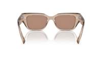 Dolce & Gabbana DG4462 3432/5A 52-18 Transparent Camel