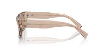 Dolce & Gabbana DG4462 3432/5A 52-18 Transparent Camel