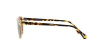 Oliver peoples Gregory peck sun OV5217S 1485W4 50-23 Transparent