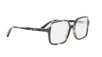 CELINE CL50126I 055 57-15 Tortuga