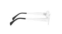 CELINE Triomphe metal CL50140U 016 53-17 Zilver