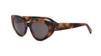 CELINE Bold 3 dots CL40286I 53A 53-17 Tortoise