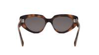 CELINE Bold 3 dots CL40286I 53A 53-17 Tortoise