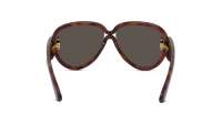 Loewe Paula's ibiza LW40132I 52G 65-14 Tortoise