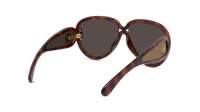 Loewe Paula's ibiza LW40132I 52G 65-14 Tortoise