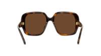 Loewe Thin LW40134U 52E 54-18 Tortoise