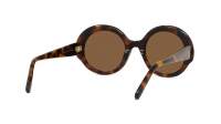 Loewe Thin LW40135I 52E 52-22 Tortoise