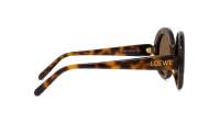 Loewe Thin LW40135I 52E 52-22 Tortoise