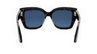 DIOR Cdior CDIOR S1I 20B0 52-15 Escama