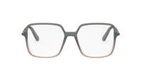 DIOR Mini cd MINI CD O S2I 4900 54-16 Siva