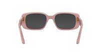 DIOR DIORSIGNATURE S12I 40A0 53-18 Rose