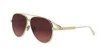 DIOR DIORCANNAGE A1U B0F2 61-11 Zlato
