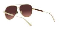 DIOR DIORCANNAGE A1U B0F2 61-11 Gold