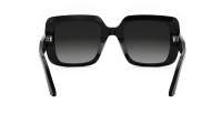 DIOR Signature DIORSIGNATURE S11I 14A1 54-23 Noir